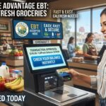 CalFresh San Diego 2026: Eligibility, Income Limits & Application Food stamps San Diego