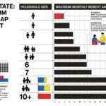 SNAP Benefits NY 2026: Income Limits, Amounts & How to Apply New York SNAP benefits 2026 maximum monthly amounts chart by household size